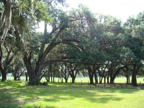 Land or Vacant Lots in Manatee and Sarasota County