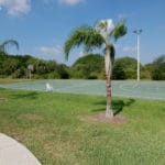 Bradenton Grey Hawk Landings 6