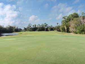 Tara Golf & Country Club in Bradenton - Green