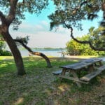 Coral Cove in Sarasota Picnic Area 2