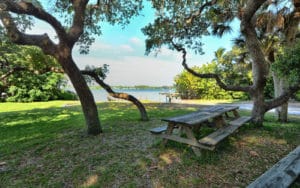 Coral Cove in Sarasota Picnic Area 2