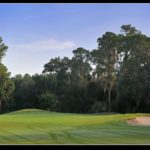 Rosedale in Bradenton Golf Course 1