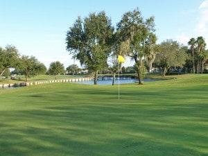 Rosedale in Bradenton Water Hazzard