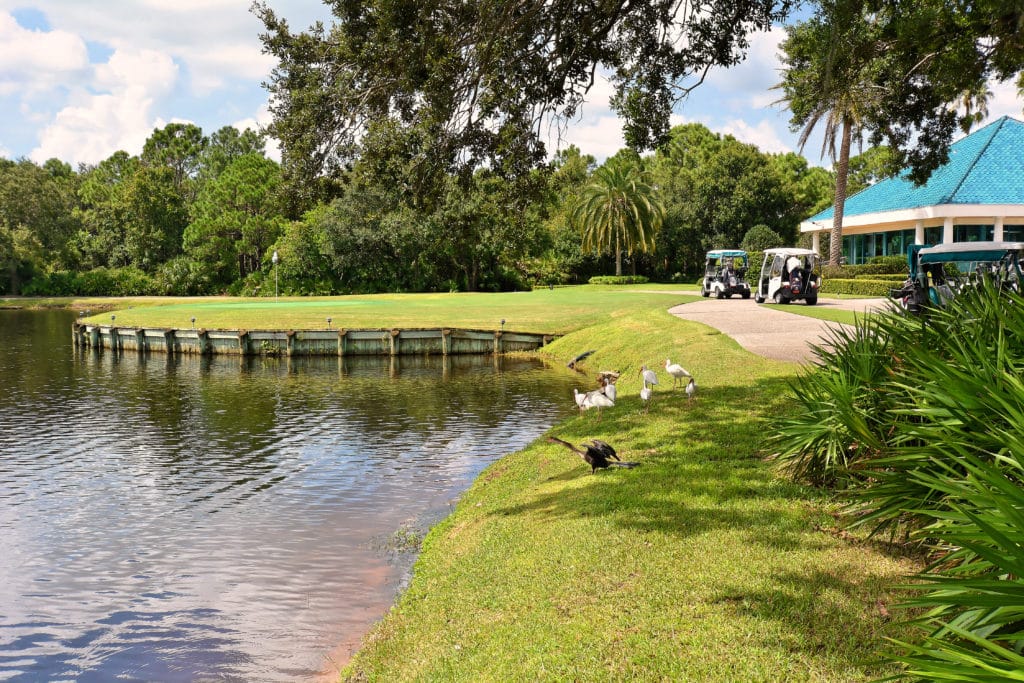 University Park Country Club Golf 2