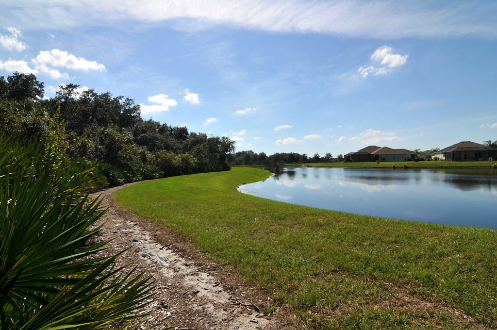 Chelsea Oaks in Parrish Neighborhood Lake