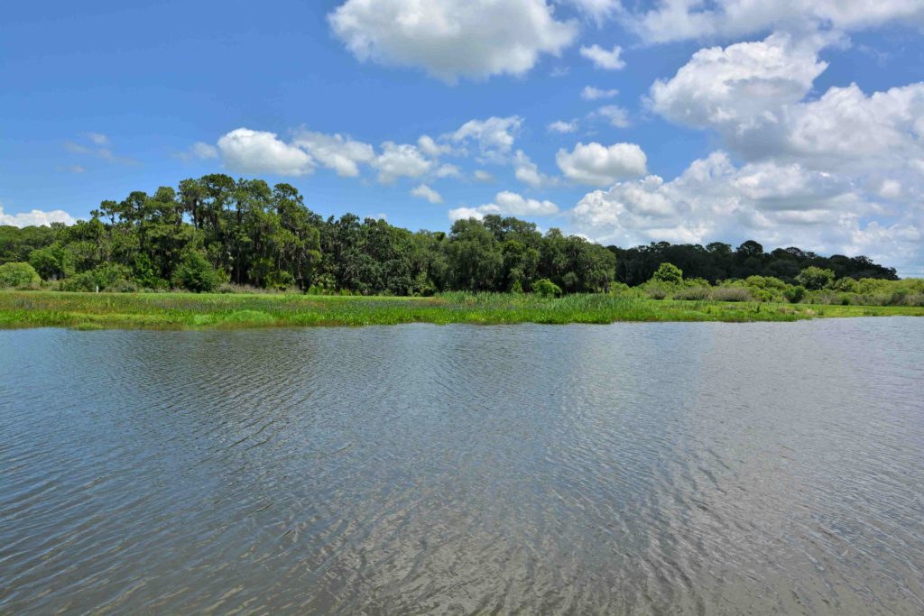 Harrison Ranch Homes for Sale | Parrish Florida 20 Harrison Ranch in Parrish Lake