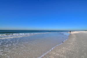 Kingston Arms in Lido Key Condos on the Beach