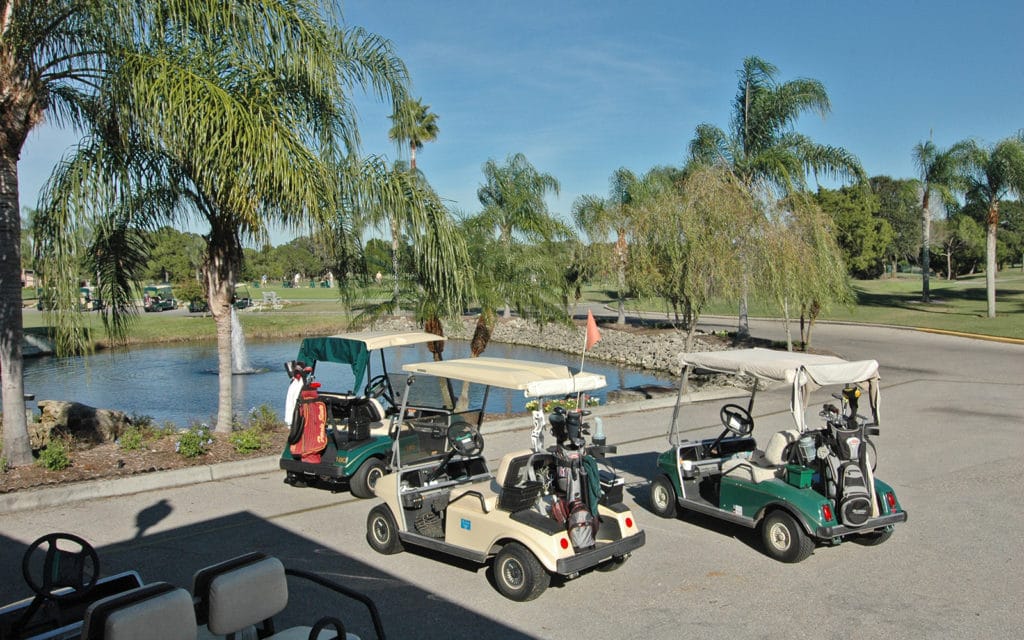 The Meadows Sarasota Real Estate | Homes, Villas & Condos 9 Meadows 6