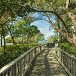Pelican Cove in Sarasota Condos for Sale 2