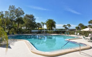 Pelican Cove in Sarasota Pool