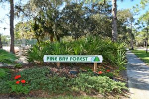 Pine Bay Forest Bradenton Florida Homes for Sale