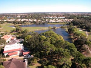 Prestancia on Palmer Ranch Homes for Sale 2
