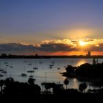 Savoy on Palm Sarasota Sunset