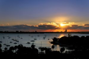 Savoy on Palm Sarasota Sunset