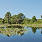 Silver Oak on Palmer Ranch Lakes