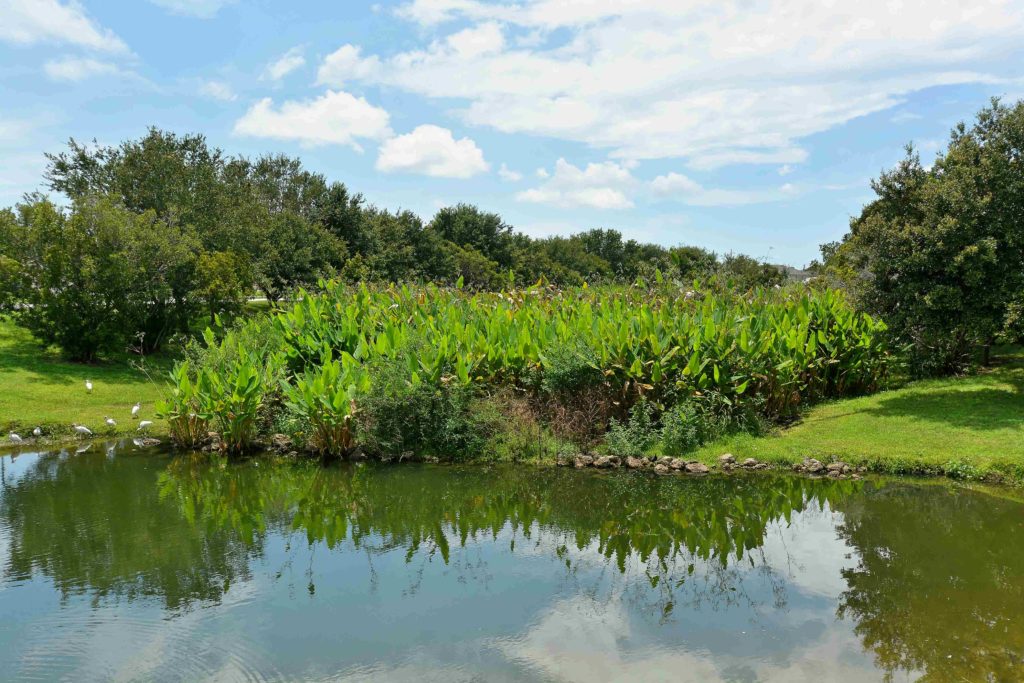 Sugar Mill Lakes Palmetto Florida Homes for Sale