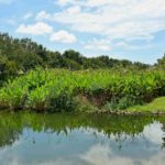 Sugar Mill Lakes Palmetto Florida Homes for Sale
