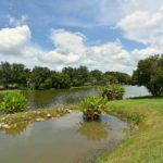 Sugar Mill Lakes in Palmetto Lake 2