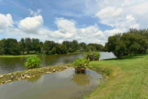 Sugar Mill Lakes in Palmetto Lake 2