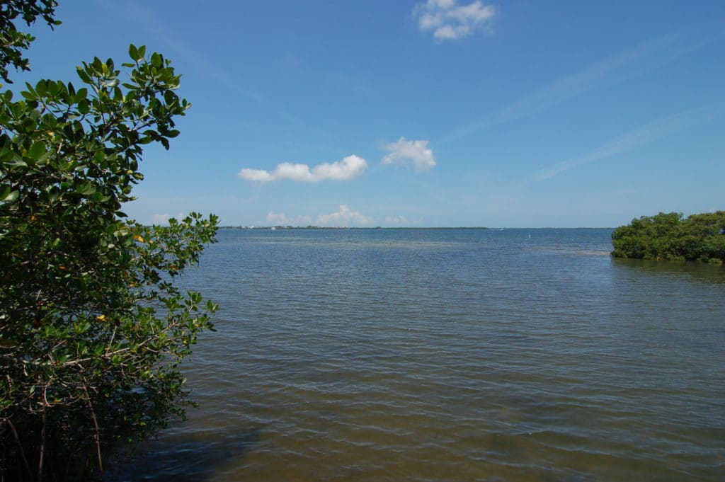Terra Ceia Bay Club Condos for Sale | Palmetto Florida 6 Terra Ceia Bay Club in Palmetto Condos Bay View