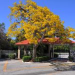 The Landings in Sarasota Gated Community