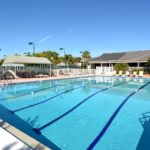 The Landings in Sarasota Pool