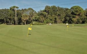 The Meadows Country Club in Sarasota Golf