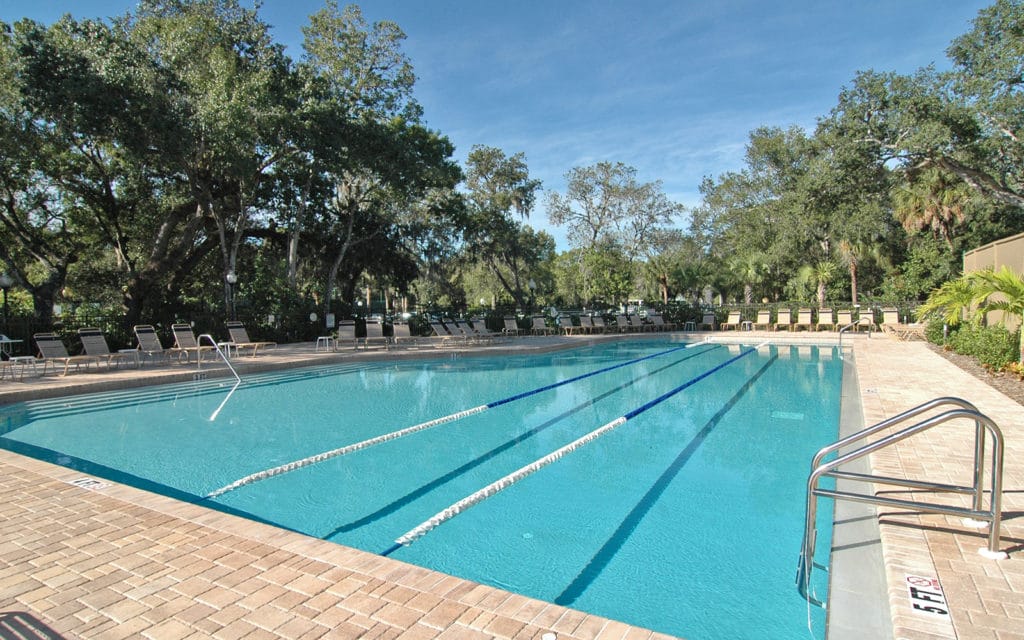 The Meadows Sarasota Real Estate | Homes, Villas & Condos 12 The Meadows Country Club in Sarasota Pool 2