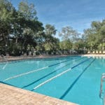The Meadows Country Club in Sarasota Pool 2