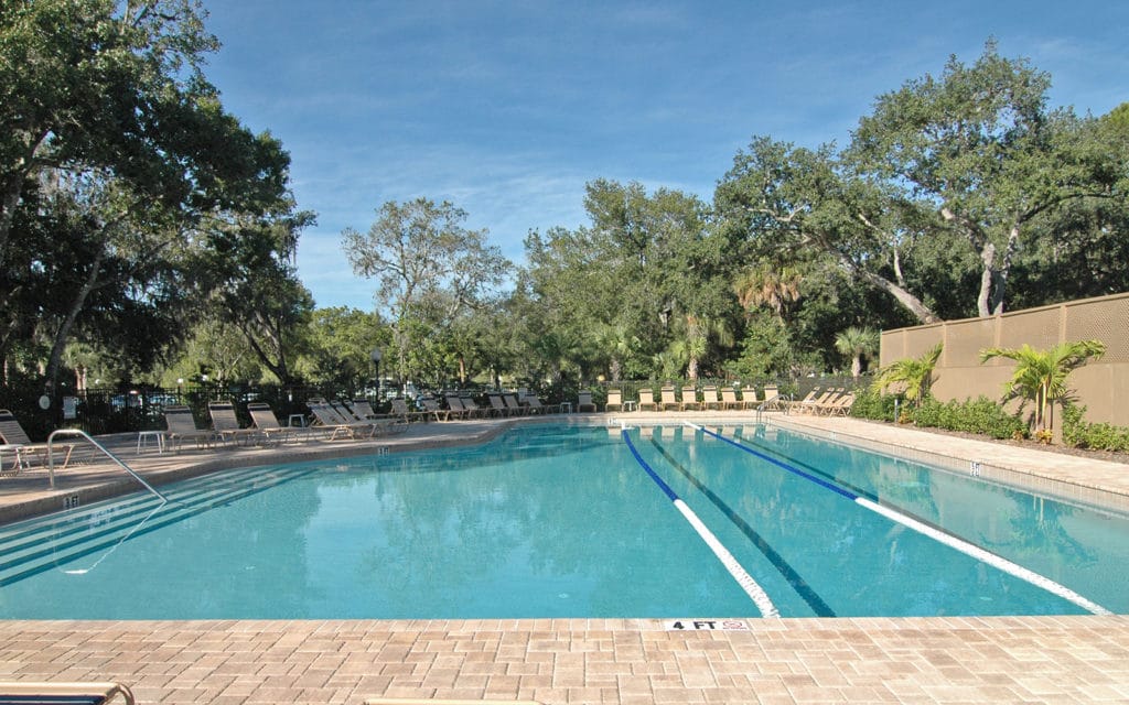 The Meadows Sarasota Real Estate | Homes, Villas & Condos 13 The Meadows Country Club in Sarasota Pool 3