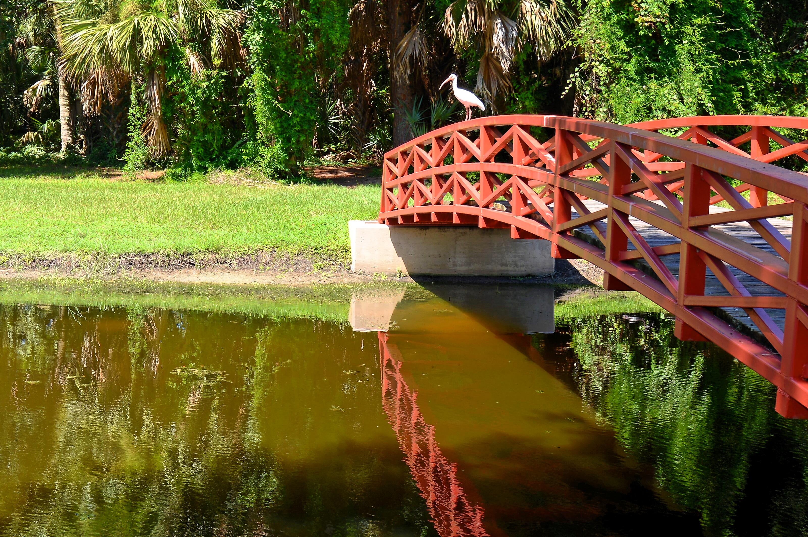 Turtle Rock Sarasota For Sale