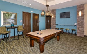 Tidewater Preserve in Bradenton Game Room