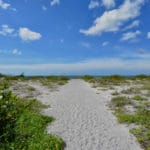 Golden Beach in Venice 1