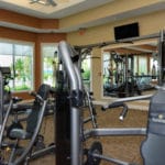 Islandwalk in Venice Gym