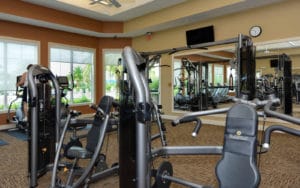 Islandwalk in Venice Gym
