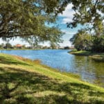 Lakes of Jacaranda in Venice Lakes