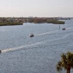 Dolphin Bay 1