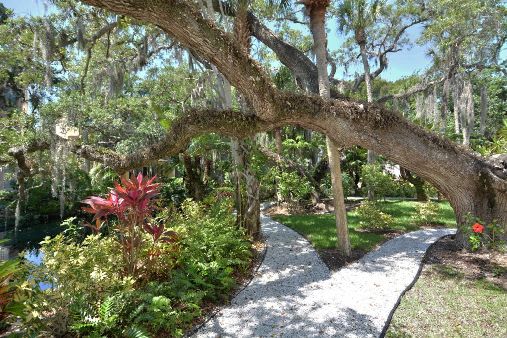Hamilton Club Condos for Sale | Siesta Key Florida 7 Hamilton Club in Siesta Key Walking Trails