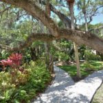Hamilton Club in Siesta Key Walking Trails