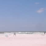 Island House in Siesta Key Beach