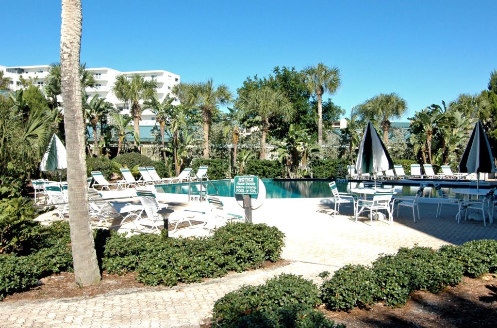 Casarina in Siesta Key Pool 1