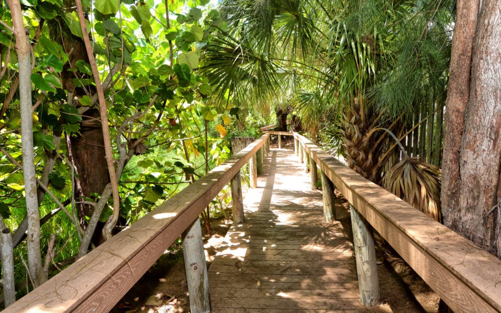 Coquille Condos for Sale | Siesta Key Florida 8 Coquille on Siesta Key Beach Pier 1