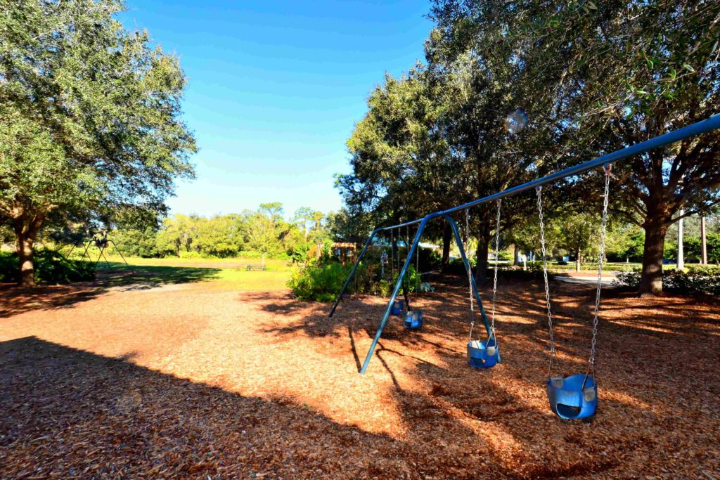 Summerfield at Lakewood Community Park Playground