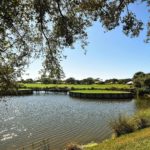 Venice Golf CC 2012 4