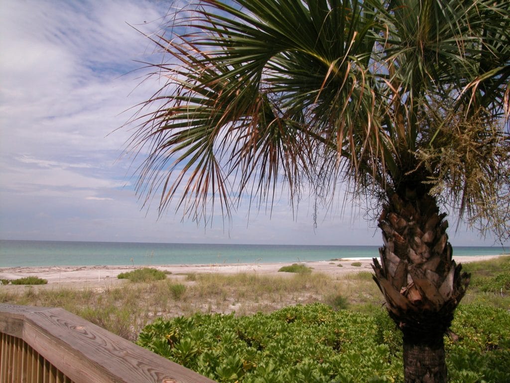 En Provence Condos for Sale | Longboat Key Florida 7 En Provence 19