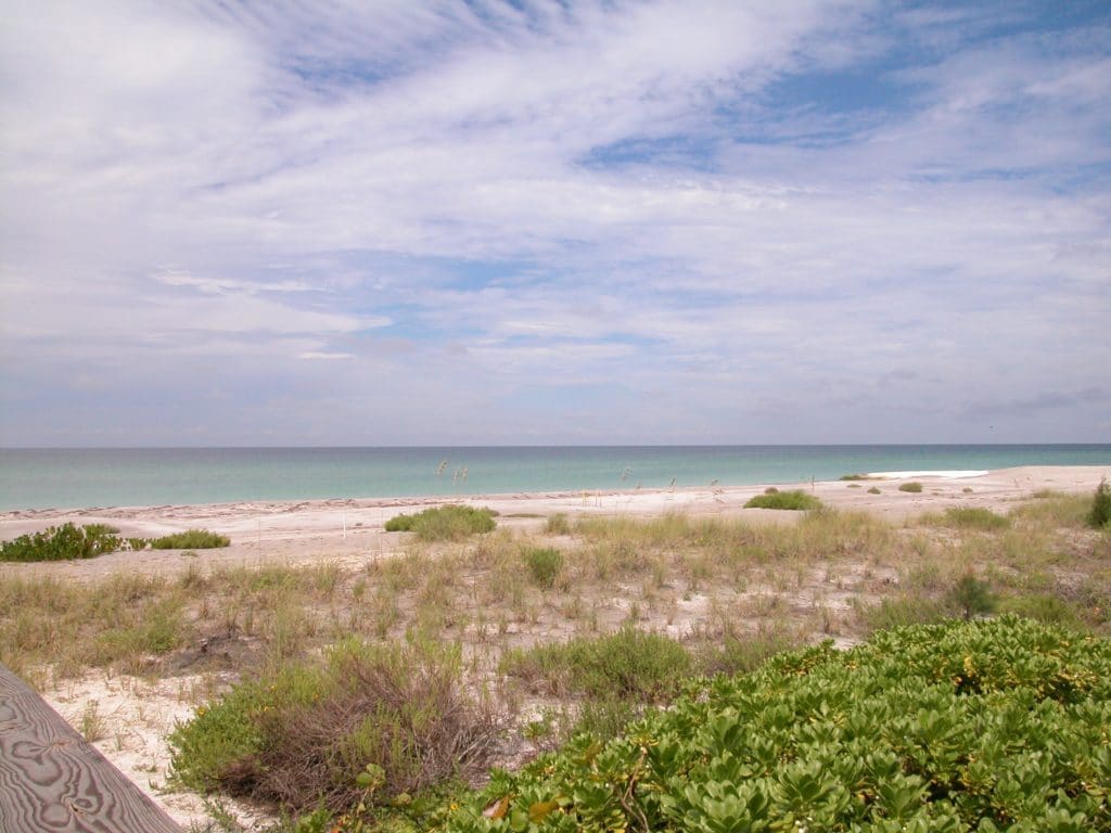 En Provence Condos for Sale | Longboat Key Florida 8 En Provence 21