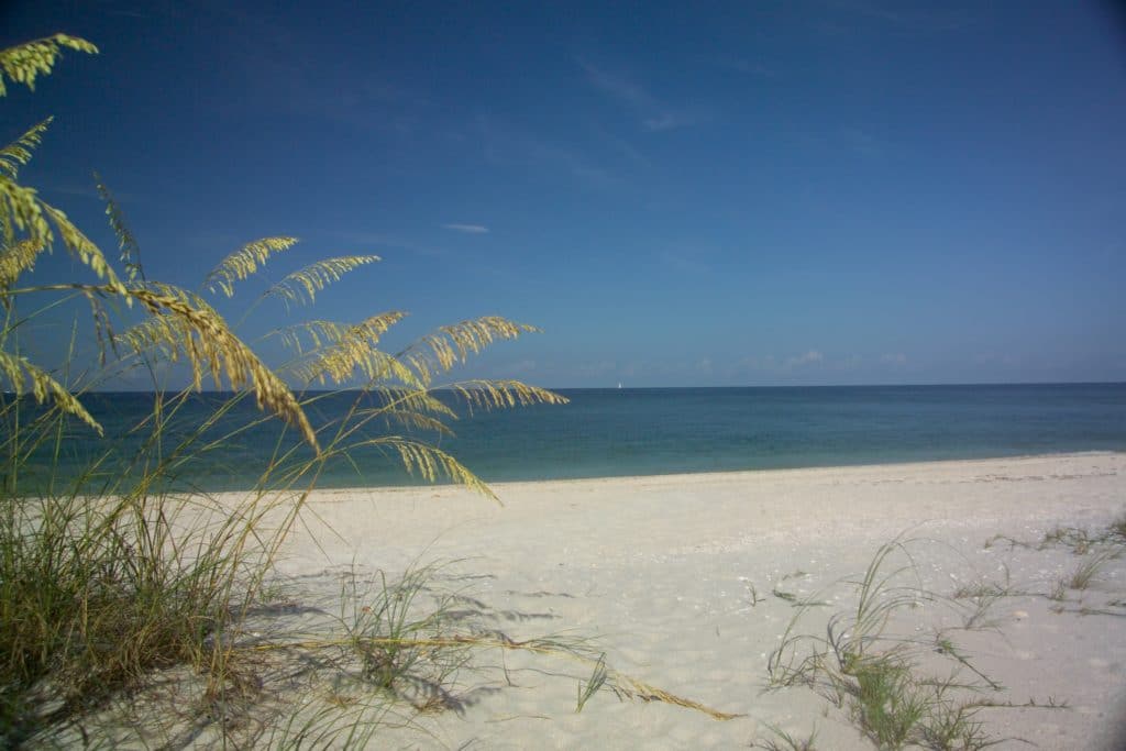 Grand Bay Condos for Sale | Longboat Key Florida 22 Grand Bay 53