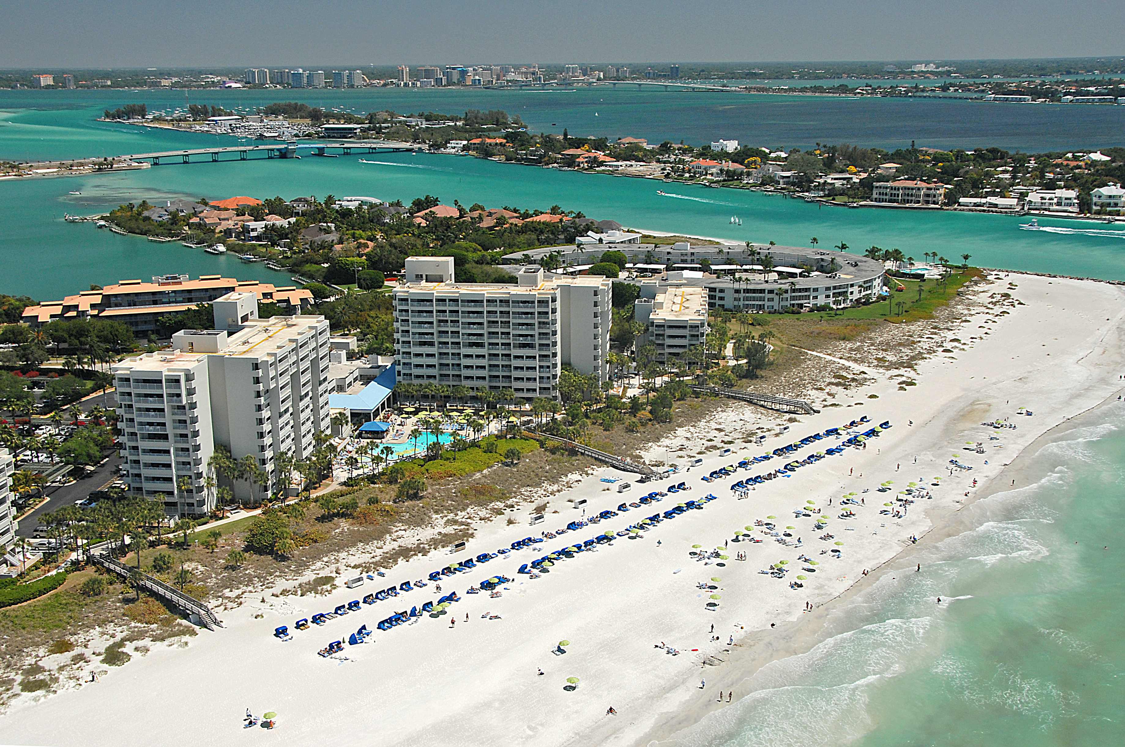 Scort Sarasota