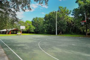 Longwood Run in Sarasota Basketball