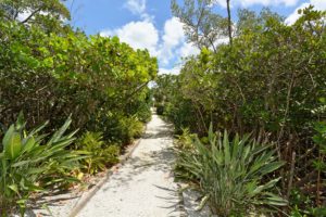 Cedars East in Longboat Key Beach Access 2